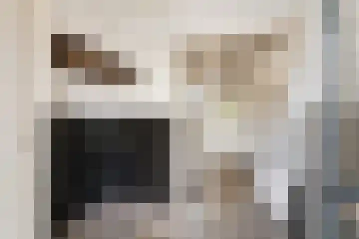 Torenlaan 29 Abcoude thumbnail 8
