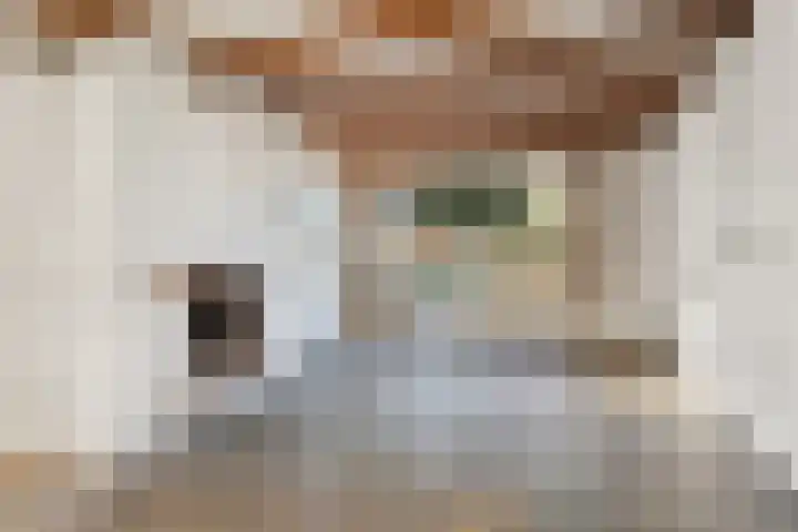 Torenlaan 29 Abcoude thumbnail 9