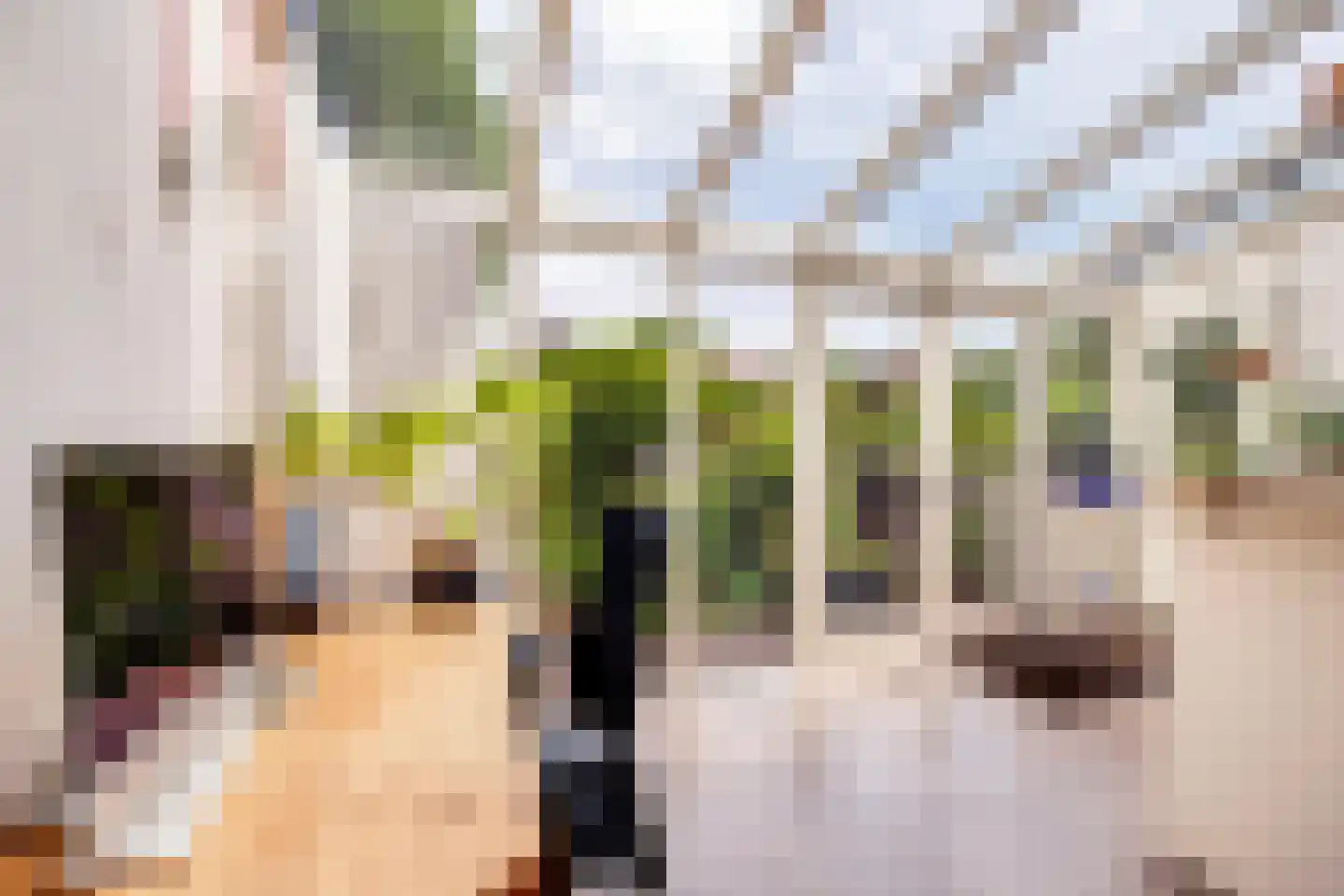 Torenlaan 3 Rotterdam thumbnail 14