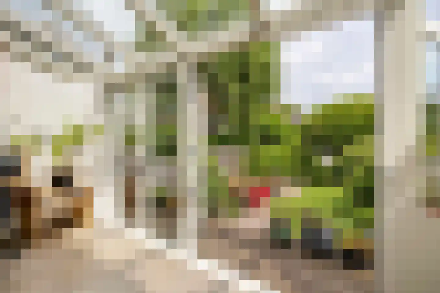 Torenlaan 3 Rotterdam thumbnail 15