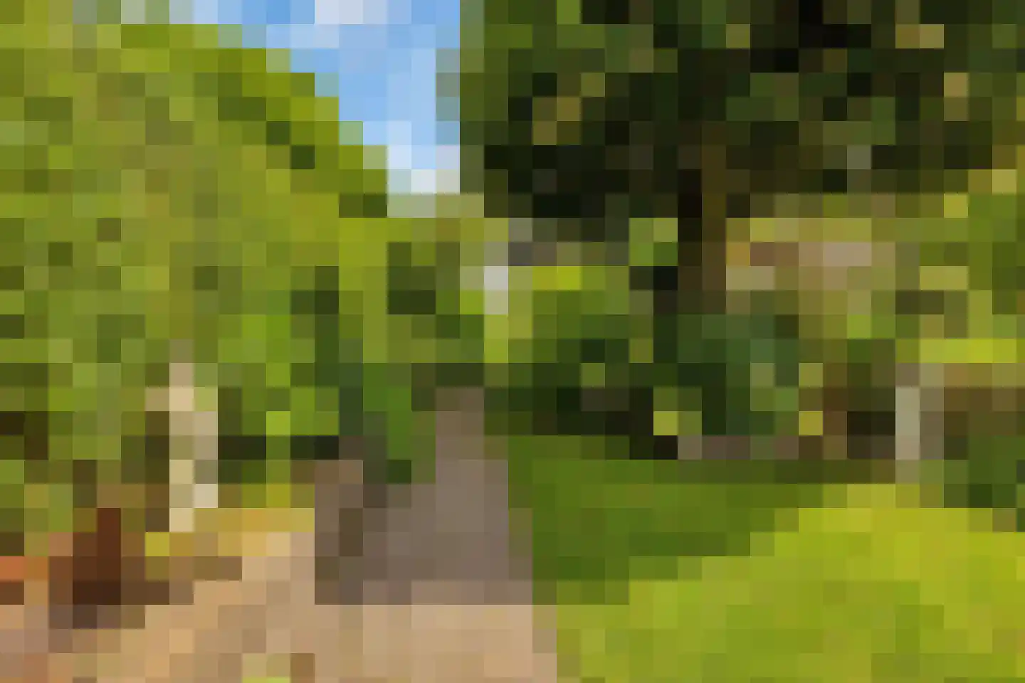 Torenlaan 3 Rotterdam thumbnail 17
