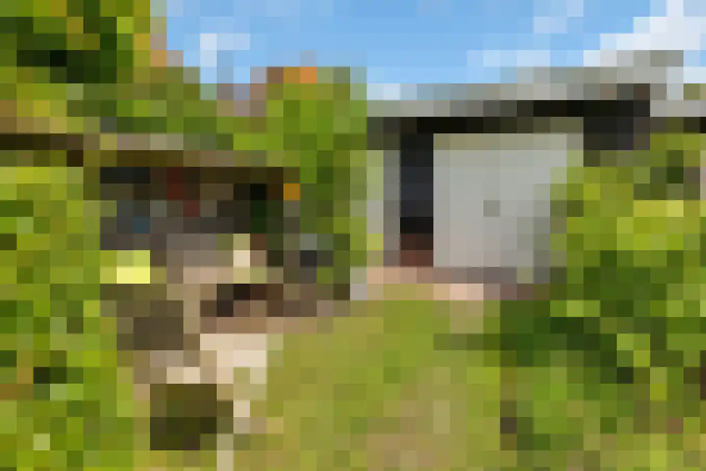 Torenlaan 3 Rotterdam thumbnail 18