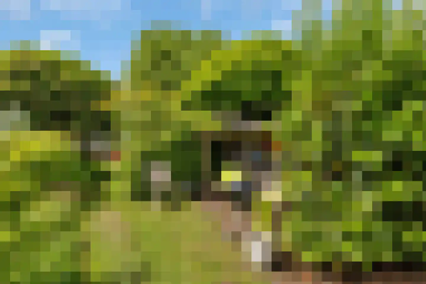 Torenlaan 3 Rotterdam thumbnail 19