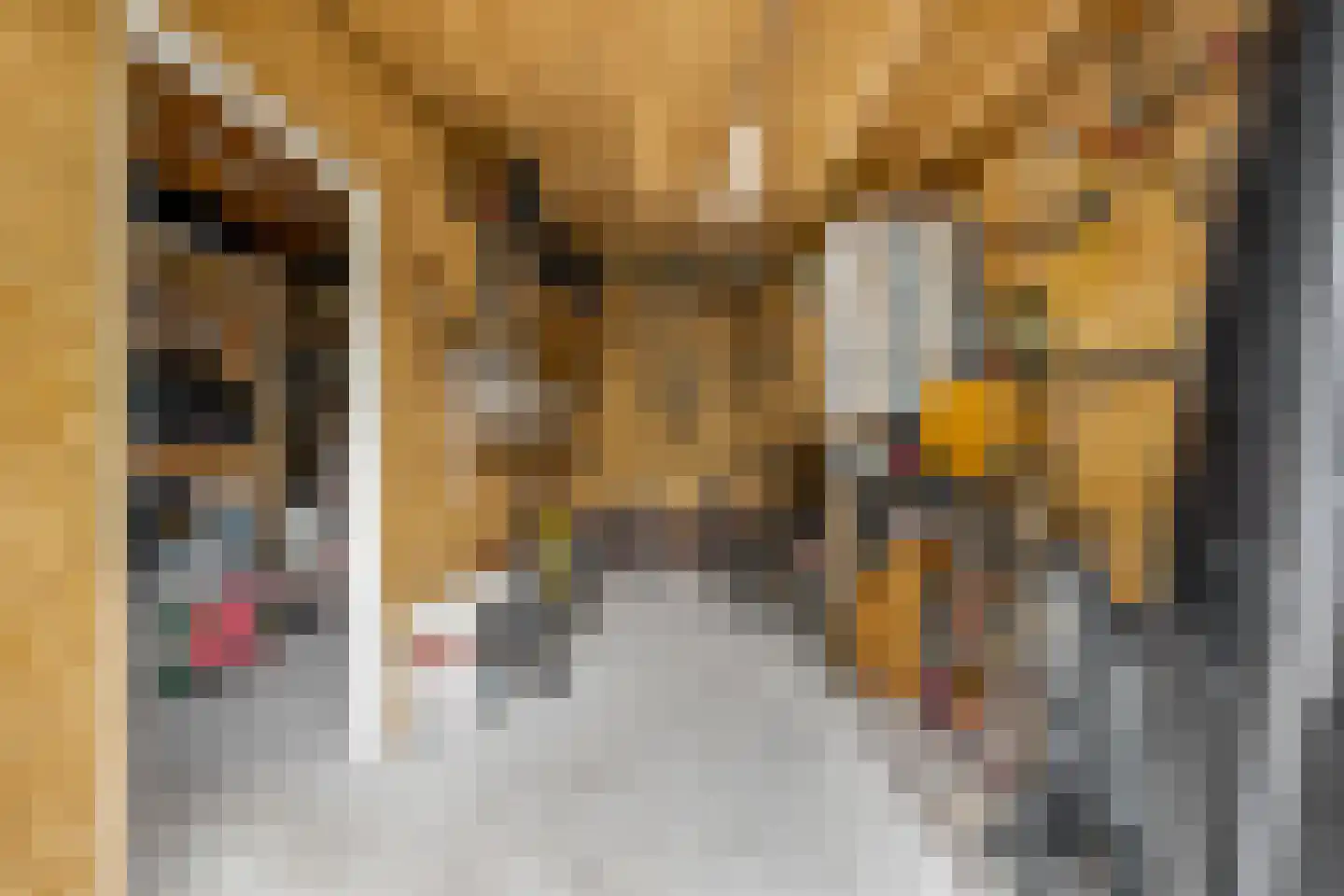 Torenlaan 3 Rotterdam thumbnail 20