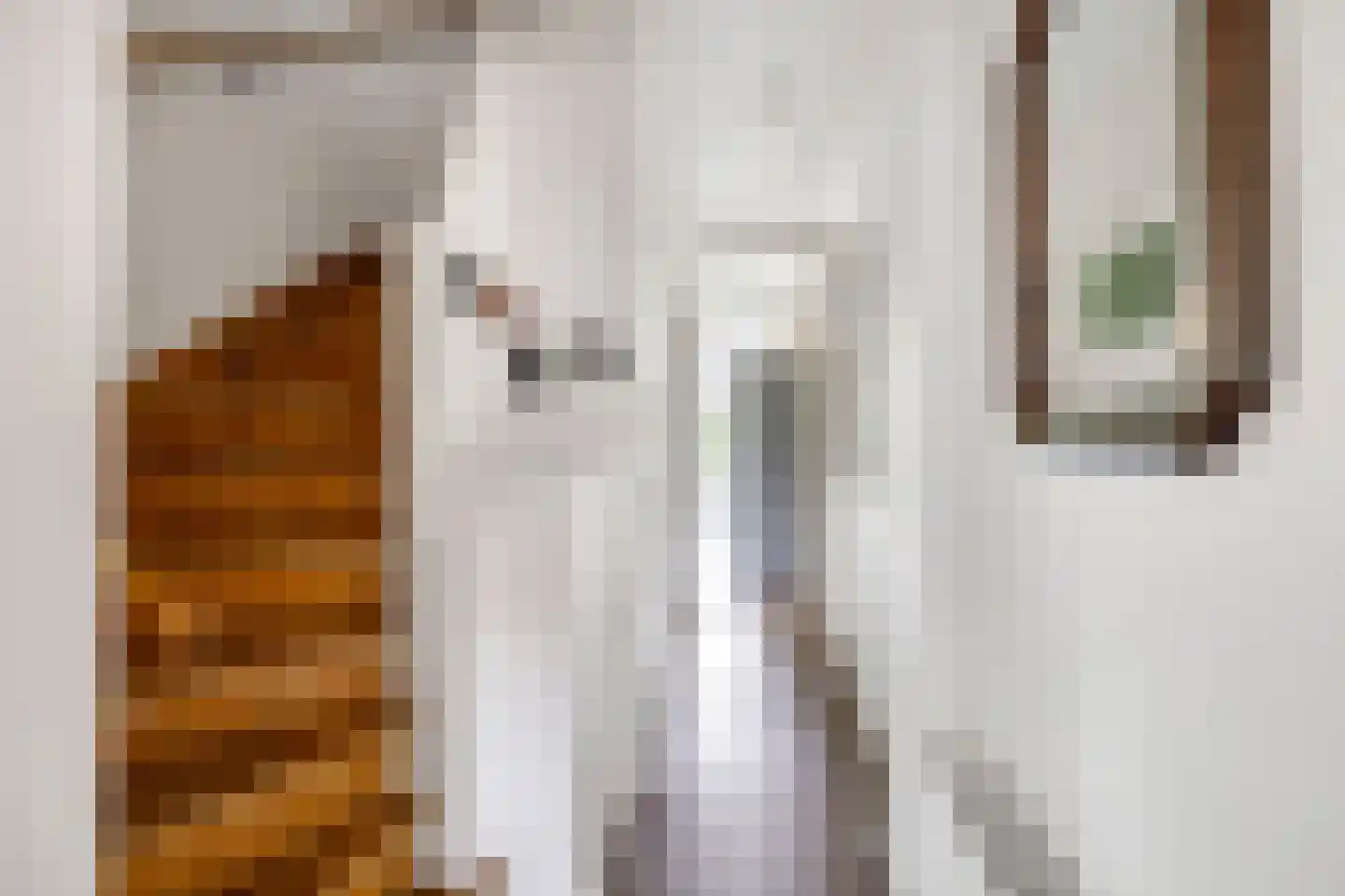 Torenlaan 3 Rotterdam thumbnail 23