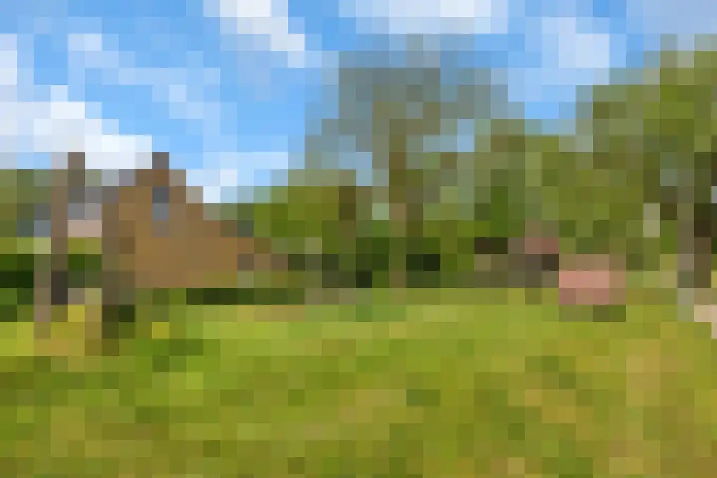Torenlaan 3 Rotterdam thumbnail 44