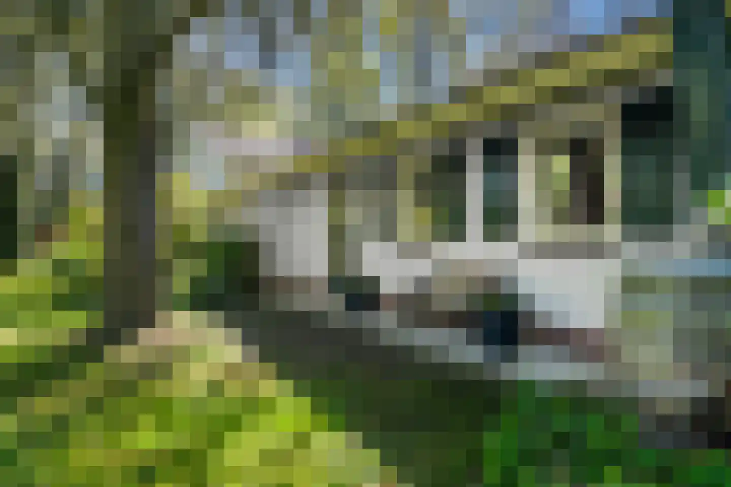 Torenlaan 30 Warnsveld thumbnail 12