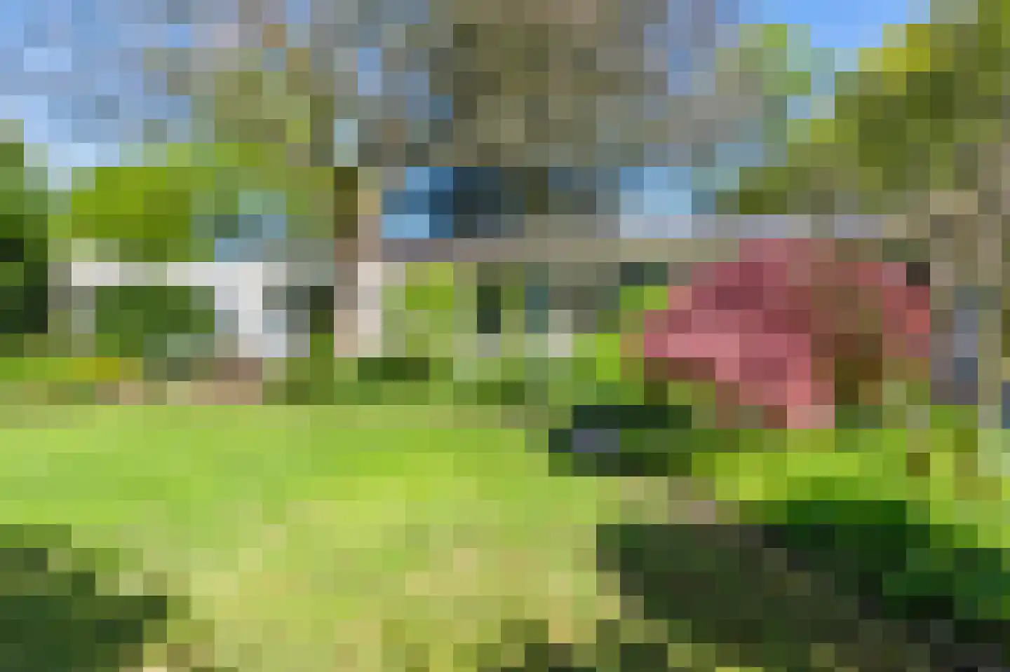 Torenlaan 30 Warnsveld thumbnail 44