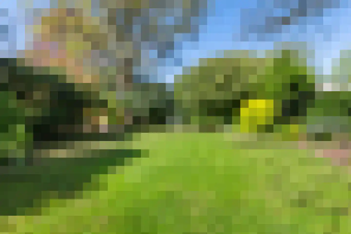 Torenlaan 30 Warnsveld thumbnail 45