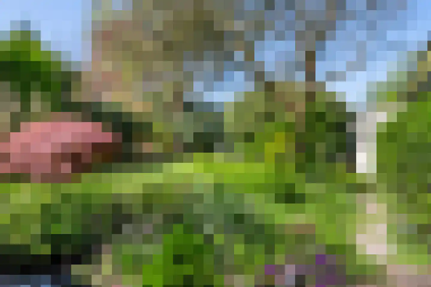 Torenlaan 30 Warnsveld thumbnail 46