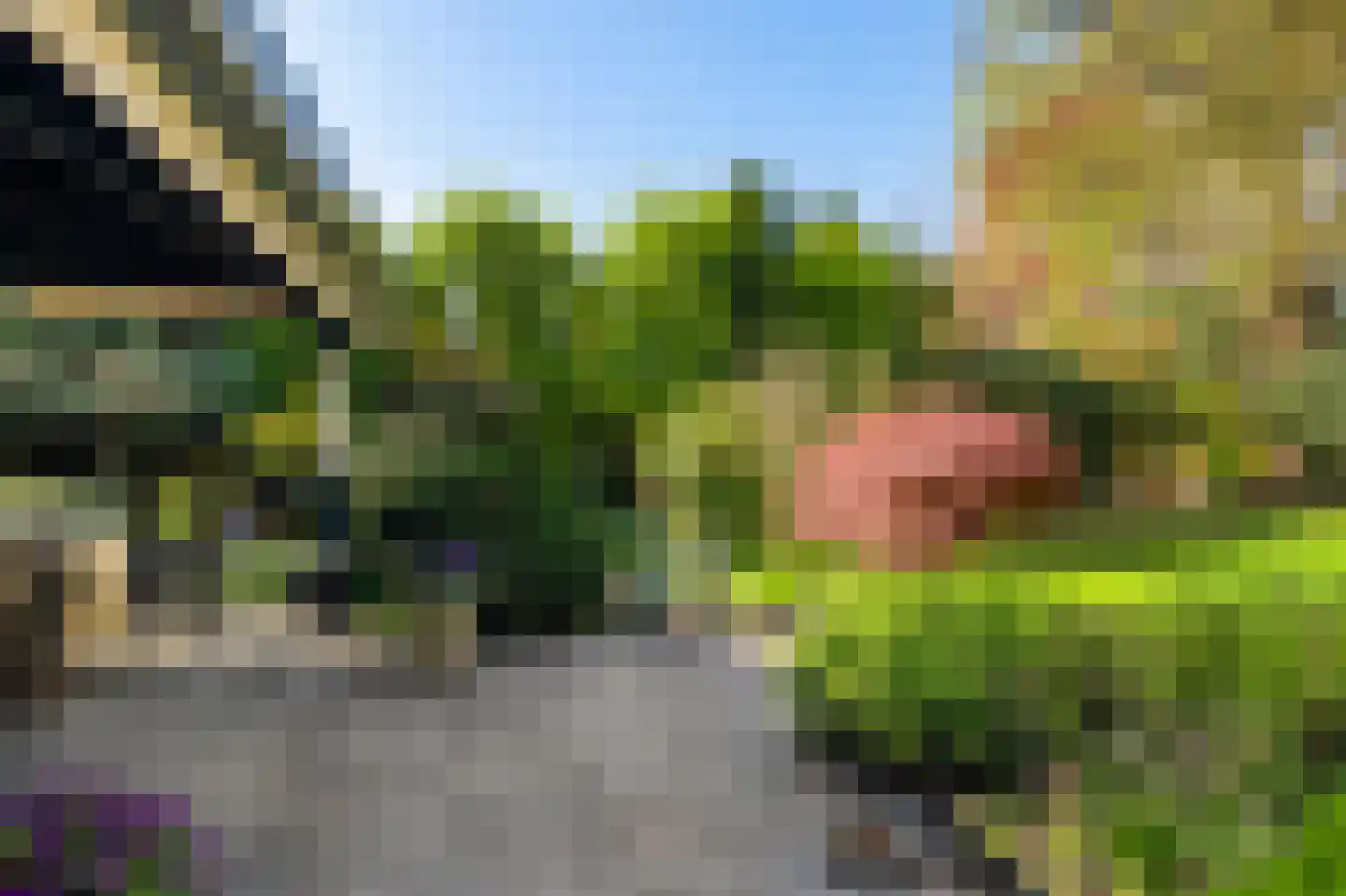 Torenlaan 30 Warnsveld thumbnail 47