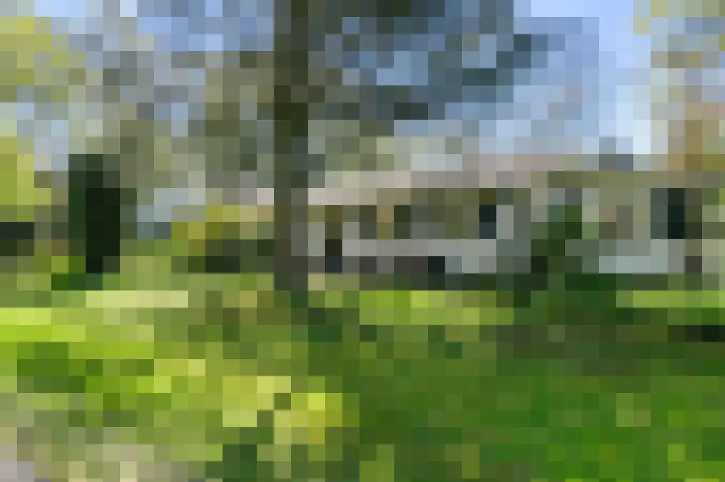 Torenlaan 30 Warnsveld thumbnail 8