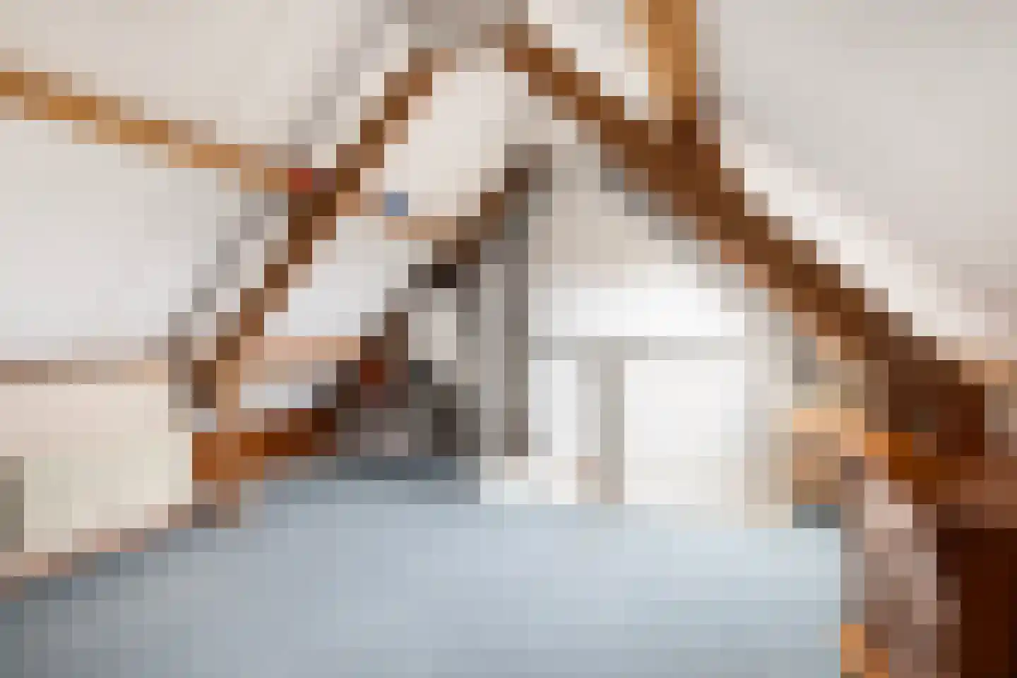 Torenlaan 30 Zuid-Beijerland thumbnail 31
