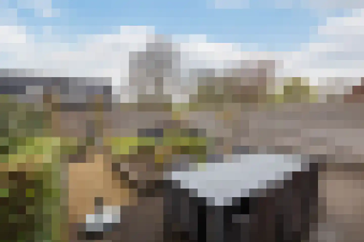 Torenlaan 30 Zuid-Beijerland thumbnail 32