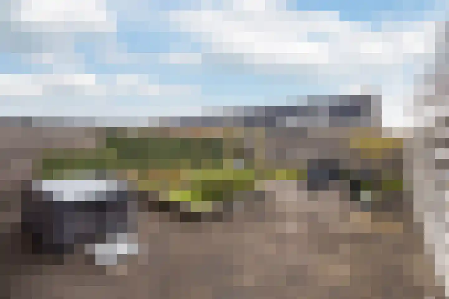 Torenlaan 30 Zuid-Beijerland thumbnail 33