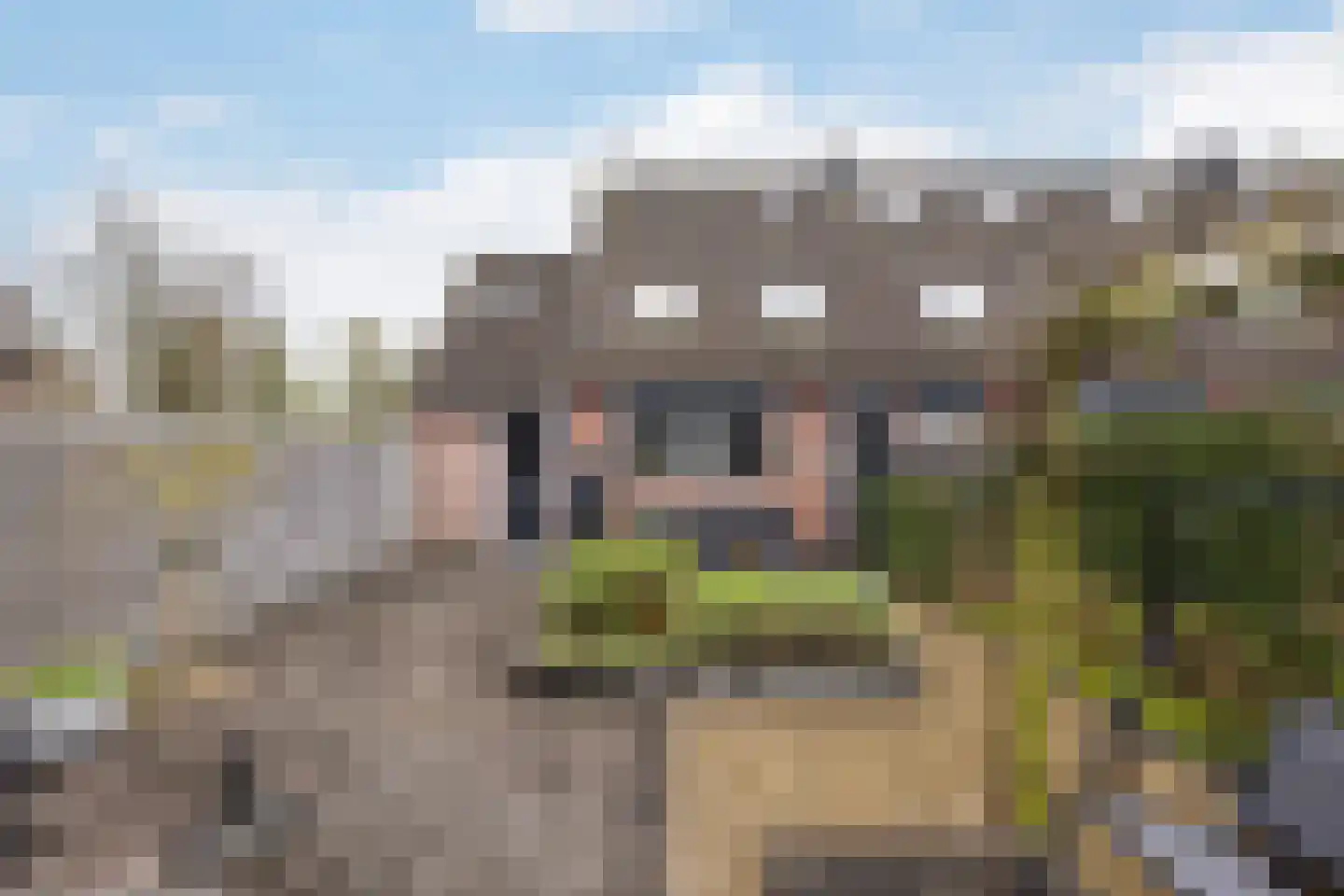 Torenlaan 30 Zuid-Beijerland thumbnail 37