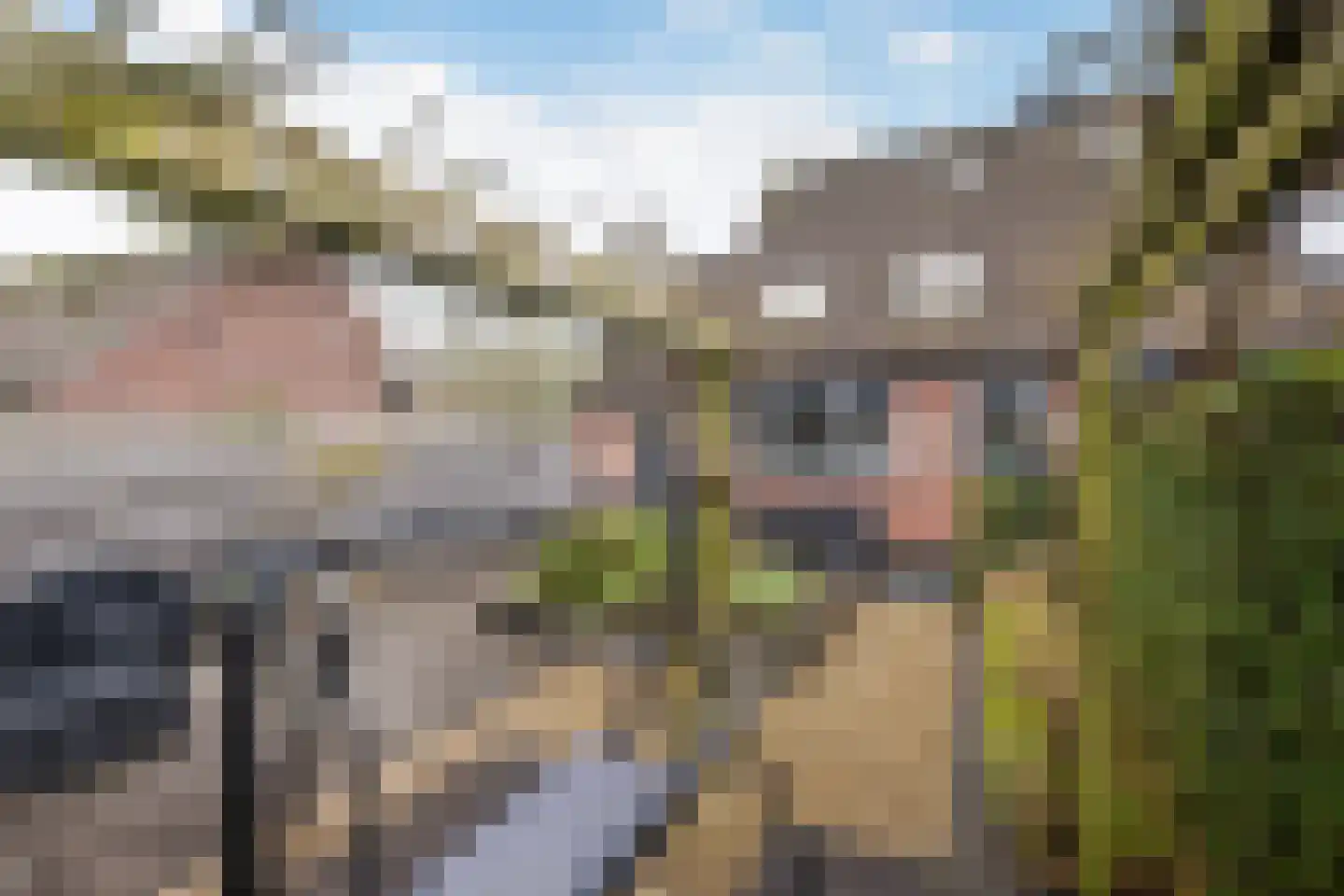Torenlaan 30 Zuid-Beijerland thumbnail 38