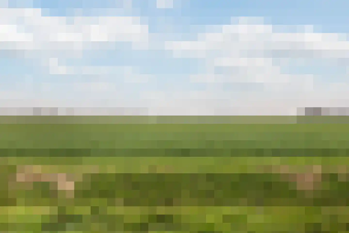 Torenlaan 30 Zuid-Beijerland thumbnail 43