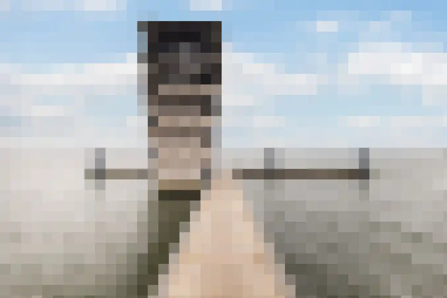 Torenlaan 30 Zuid-Beijerland thumbnail 46