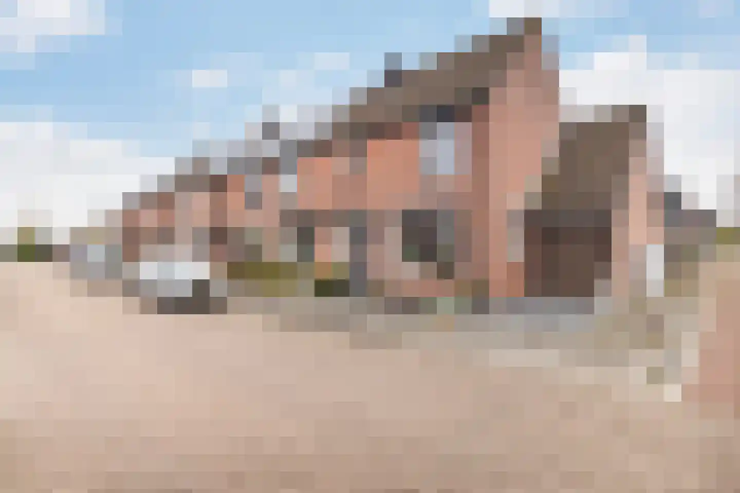 Torenlaan 30 Zuid-Beijerland thumbnail 6