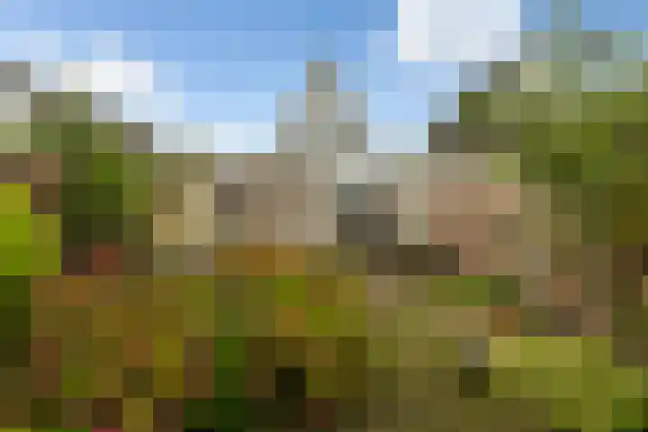 Torenlaan 31 Ermelo thumbnail 37