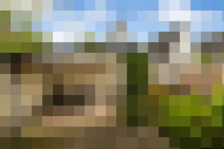 Torenlaan 31 Ermelo thumbnail 39