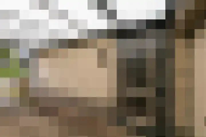 Torenlaan 31 Ermelo thumbnail 4