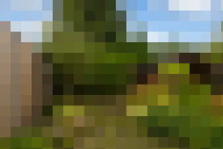 Torenlaan 31 Ermelo thumbnail 40