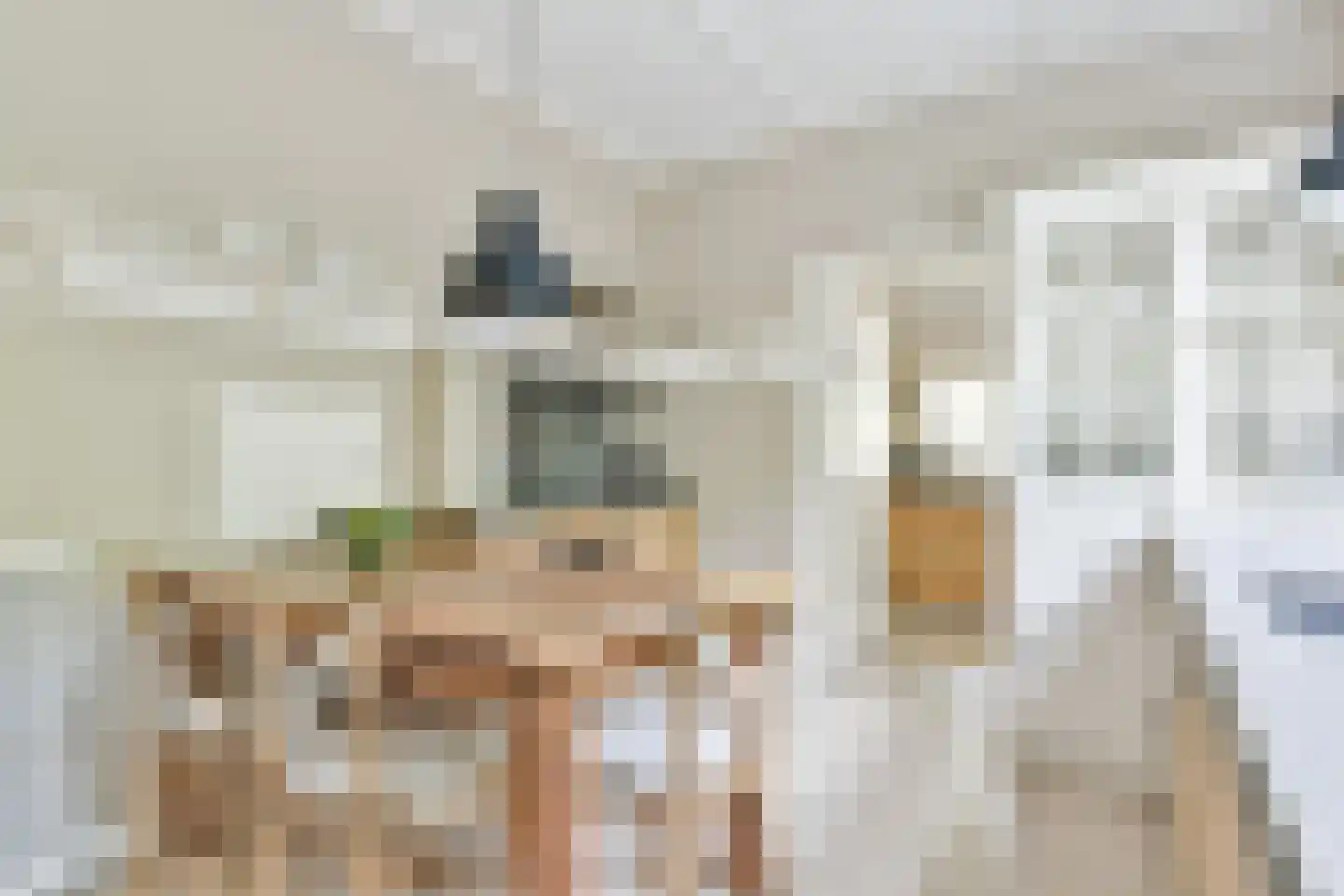 Torenlaan 34 Blaricum thumbnail 12