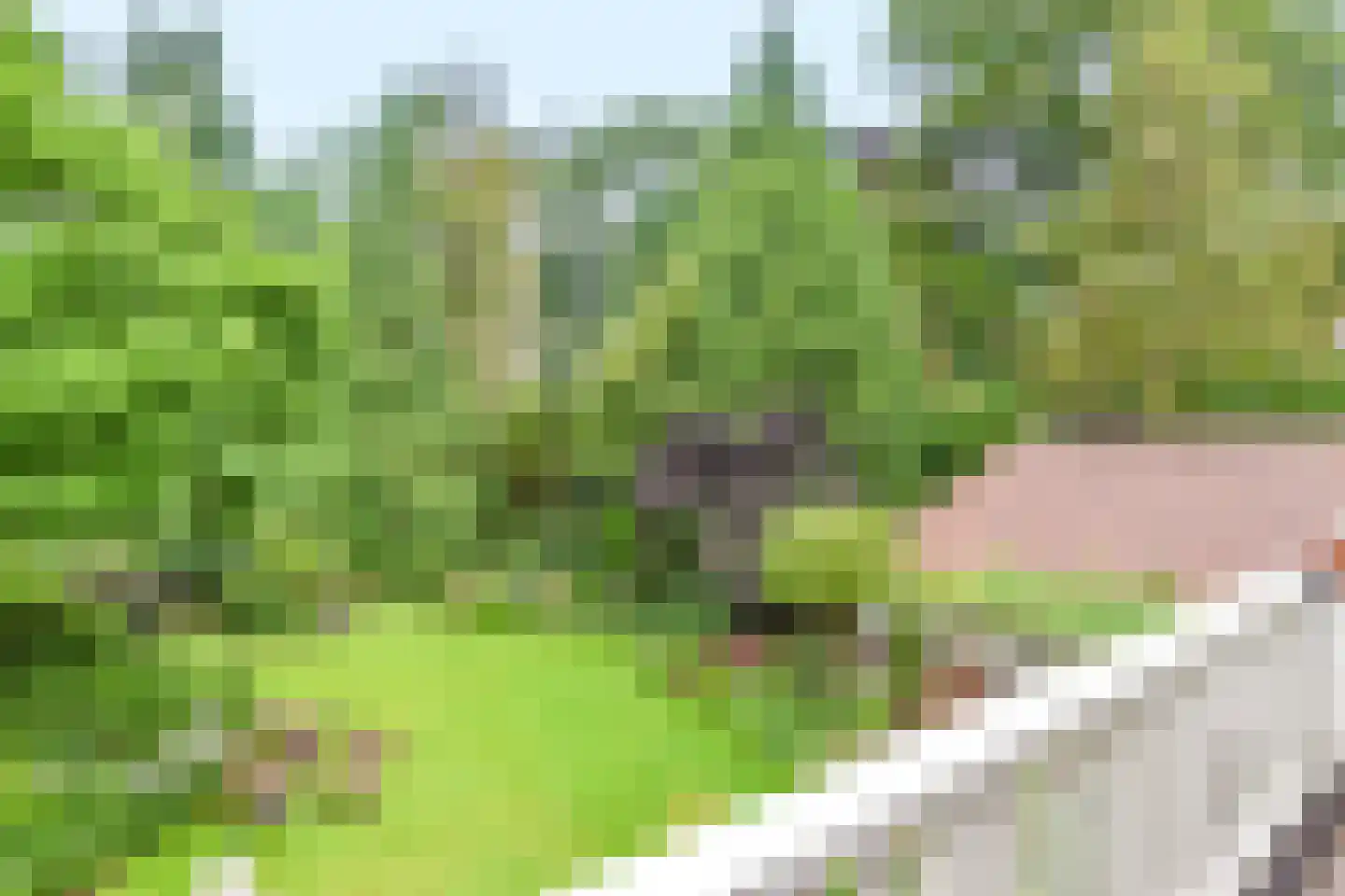 Torenlaan 34 Blaricum thumbnail 22