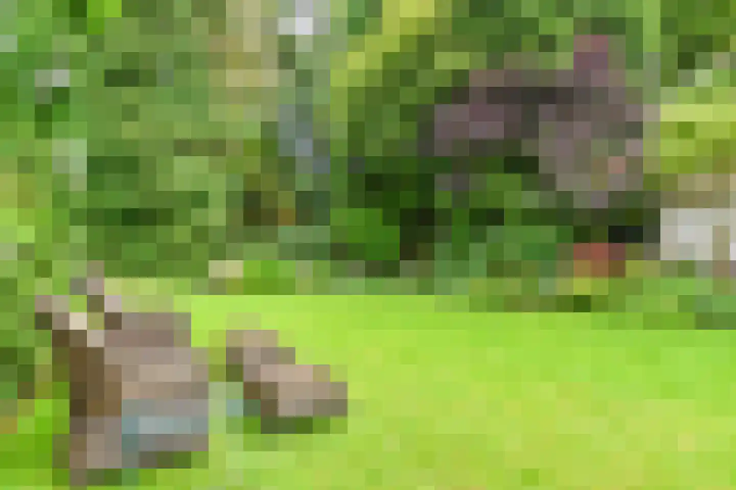 Torenlaan 34 Blaricum thumbnail 30