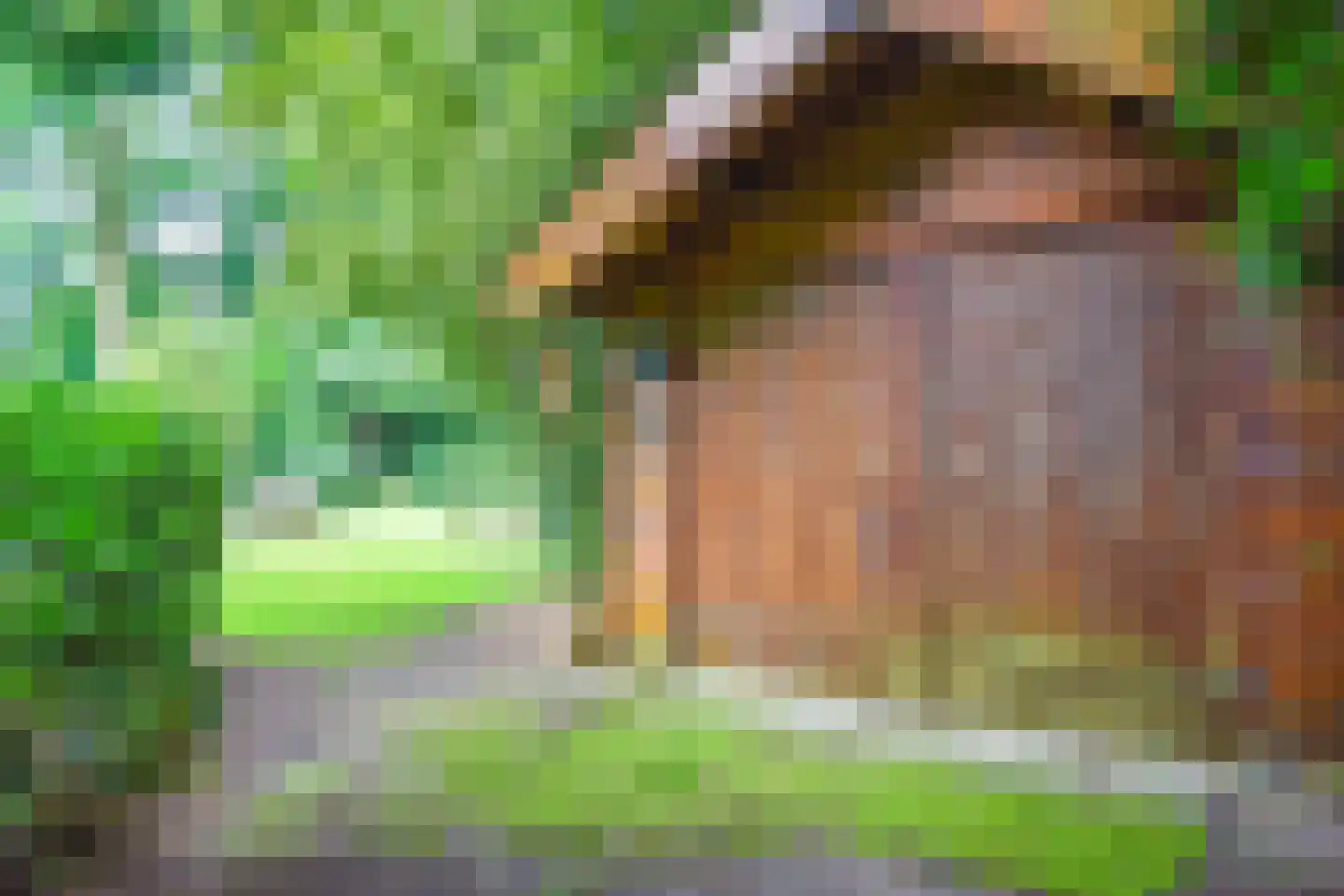 Torenlaan 34 Blaricum thumbnail 31