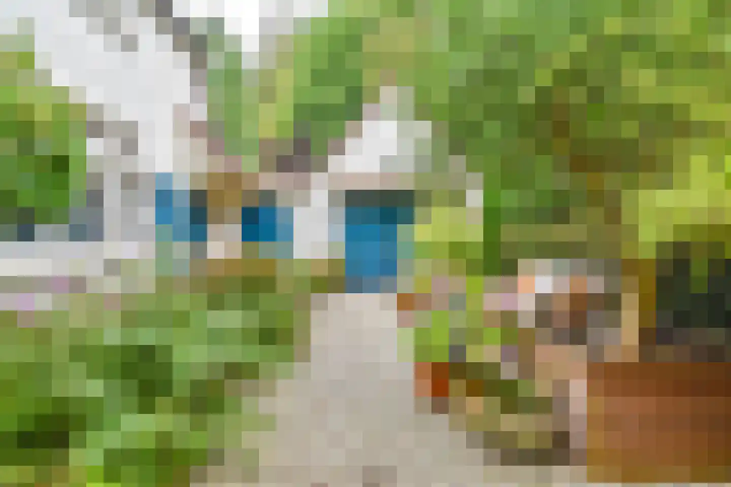 Torenlaan 34 Blaricum thumbnail 4
