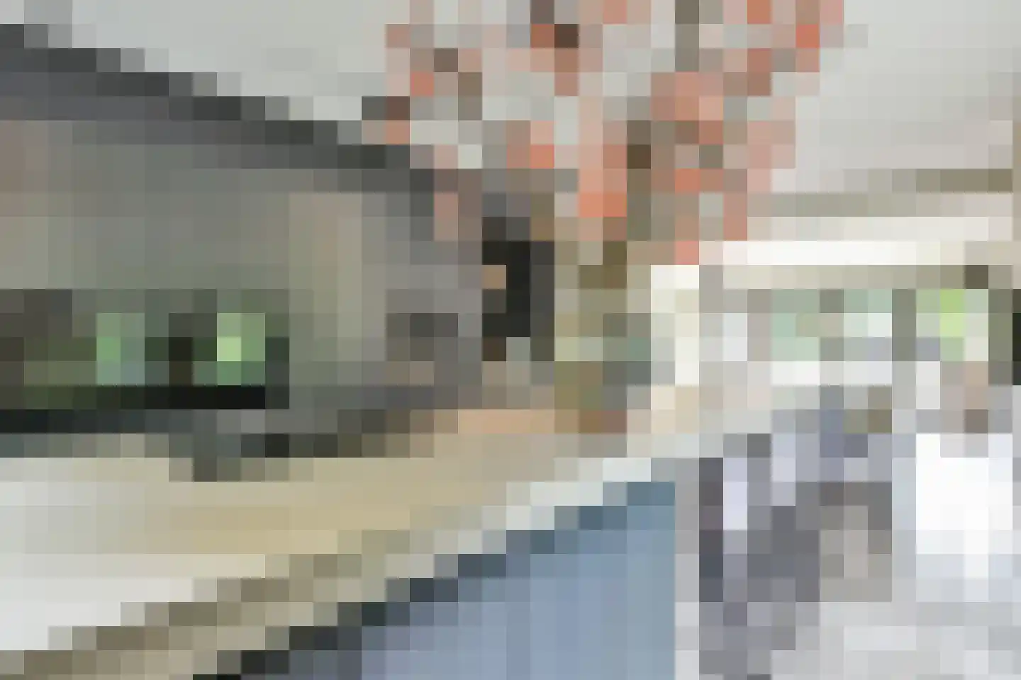 Torenlaan 35 Blaricum thumbnail 13