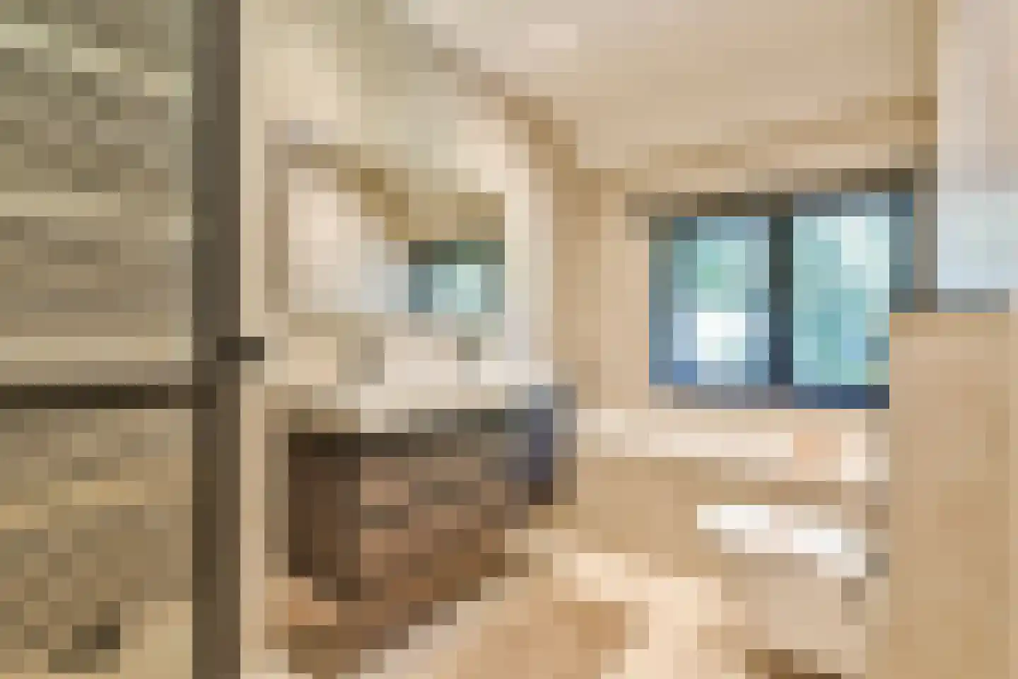 Torenlaan 35 Blaricum thumbnail 26