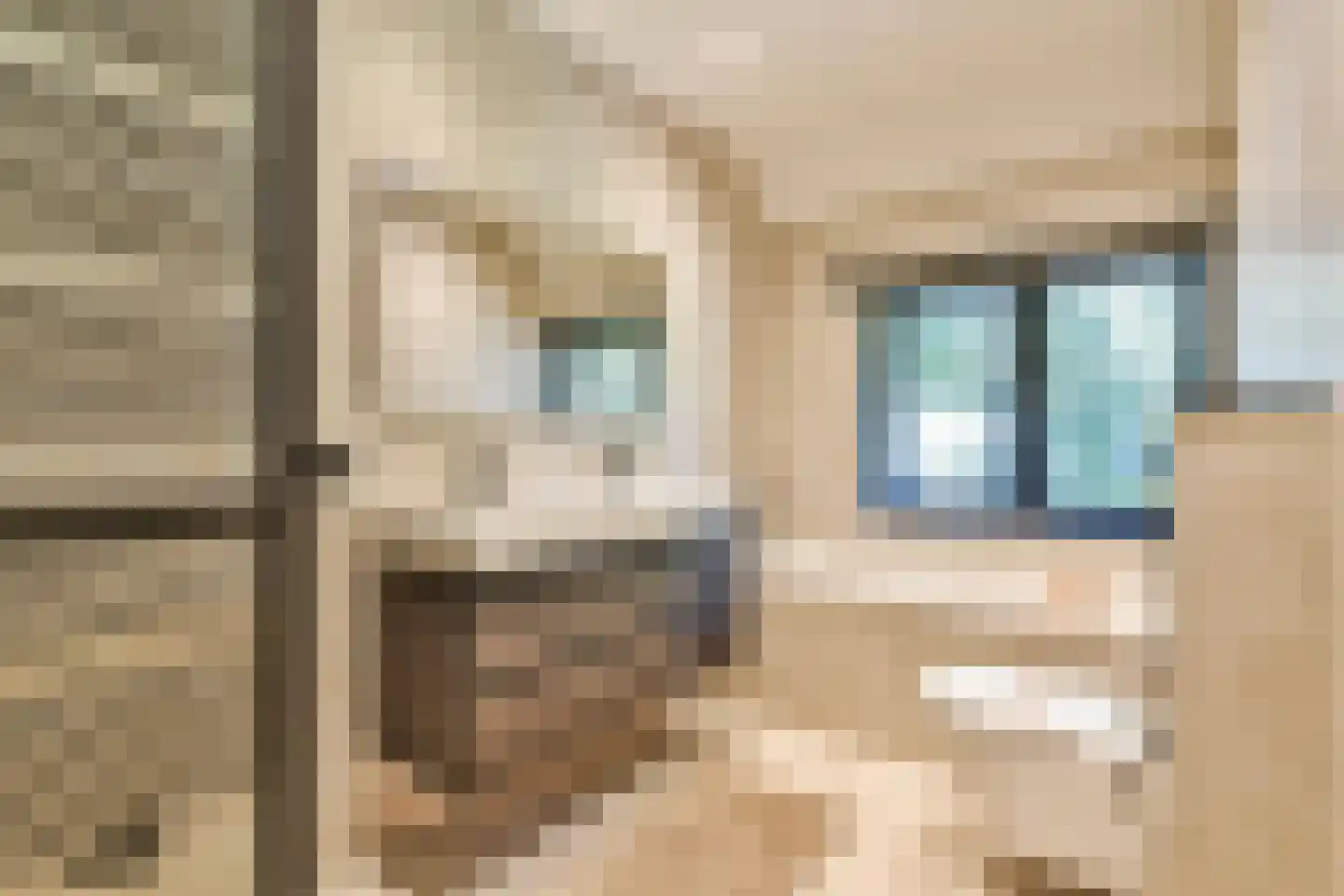 Torenlaan 35 Blaricum thumbnail 26