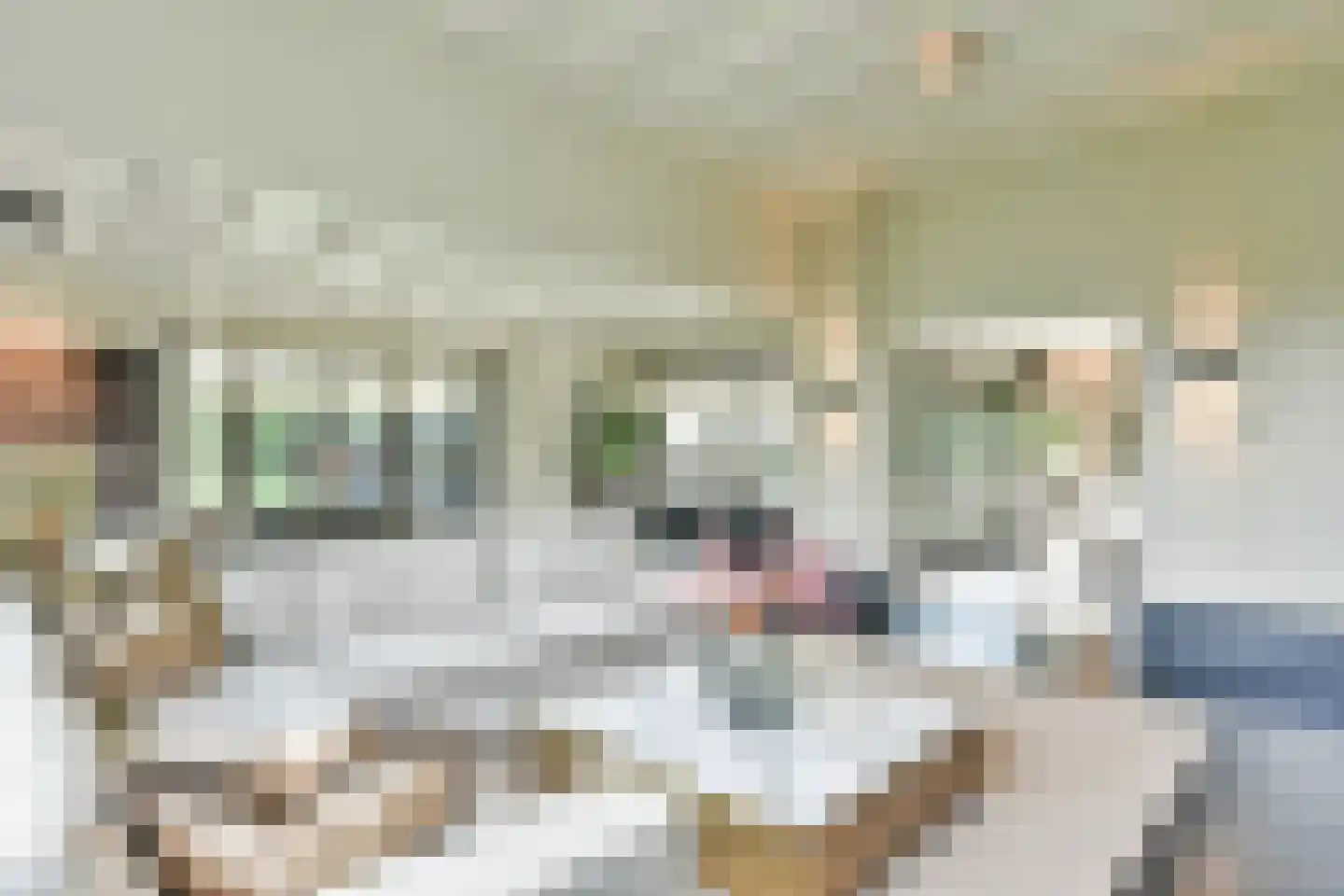 Torenlaan 35 Blaricum thumbnail 7