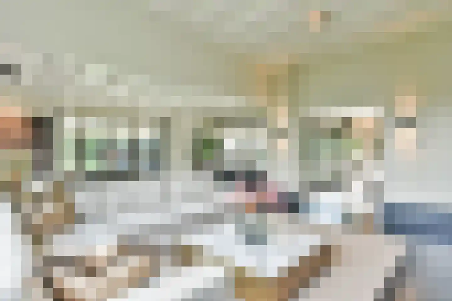 Torenlaan 35 Blaricum thumbnail 7