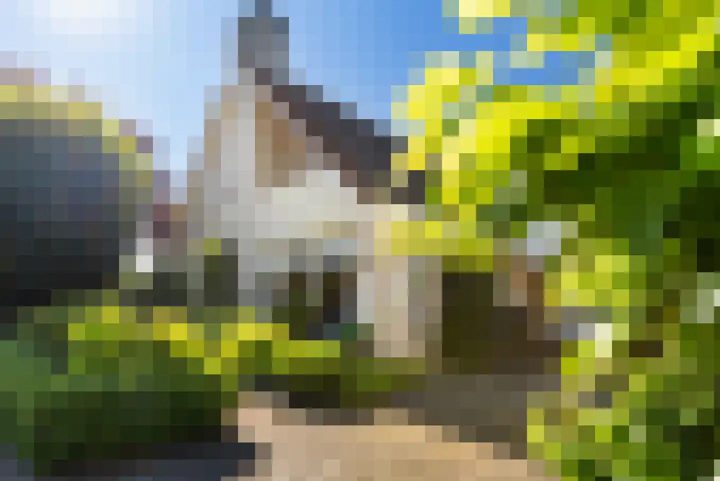 Torenlaan 35 Ermelo thumbnail 4