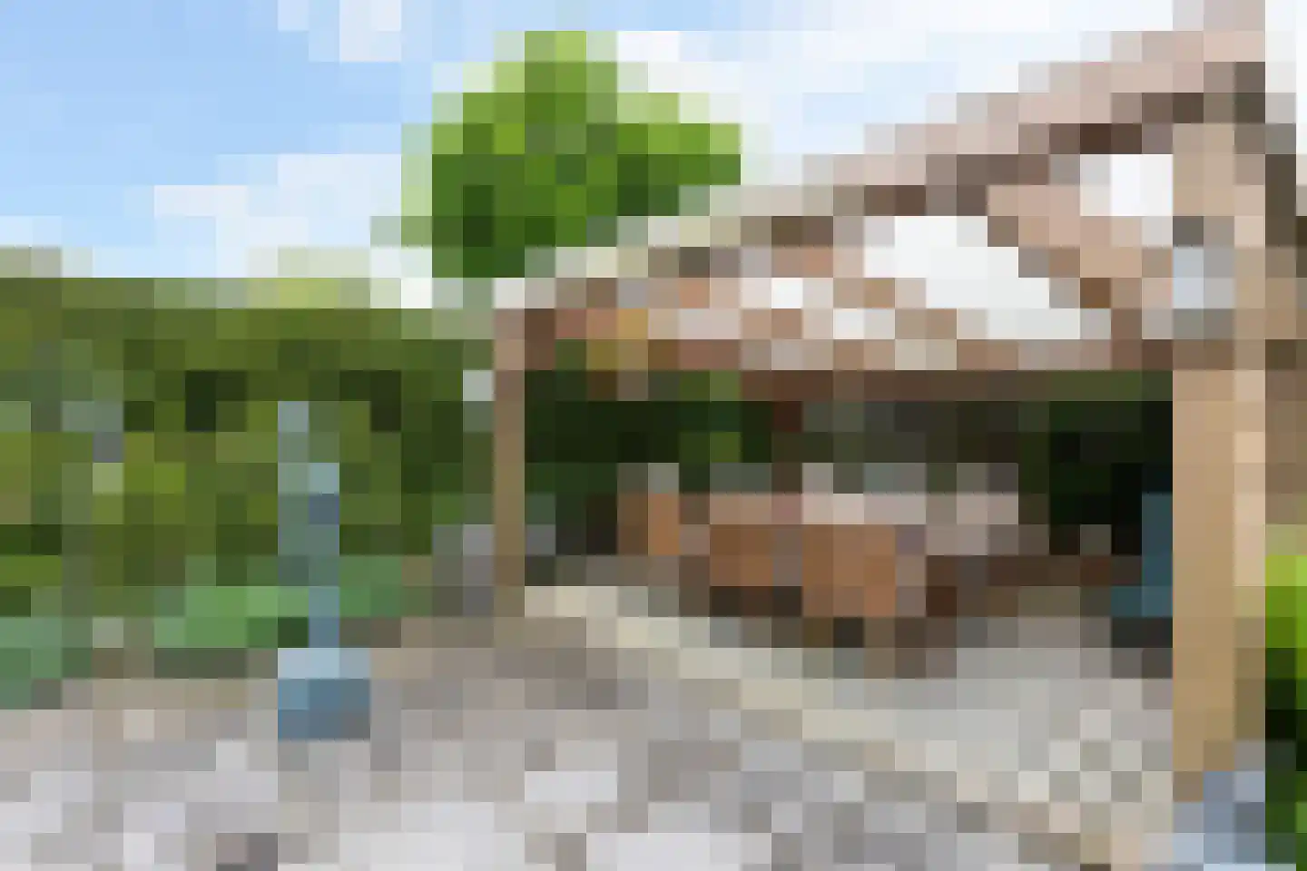 Torenlaan 35 Ermelo thumbnail 43