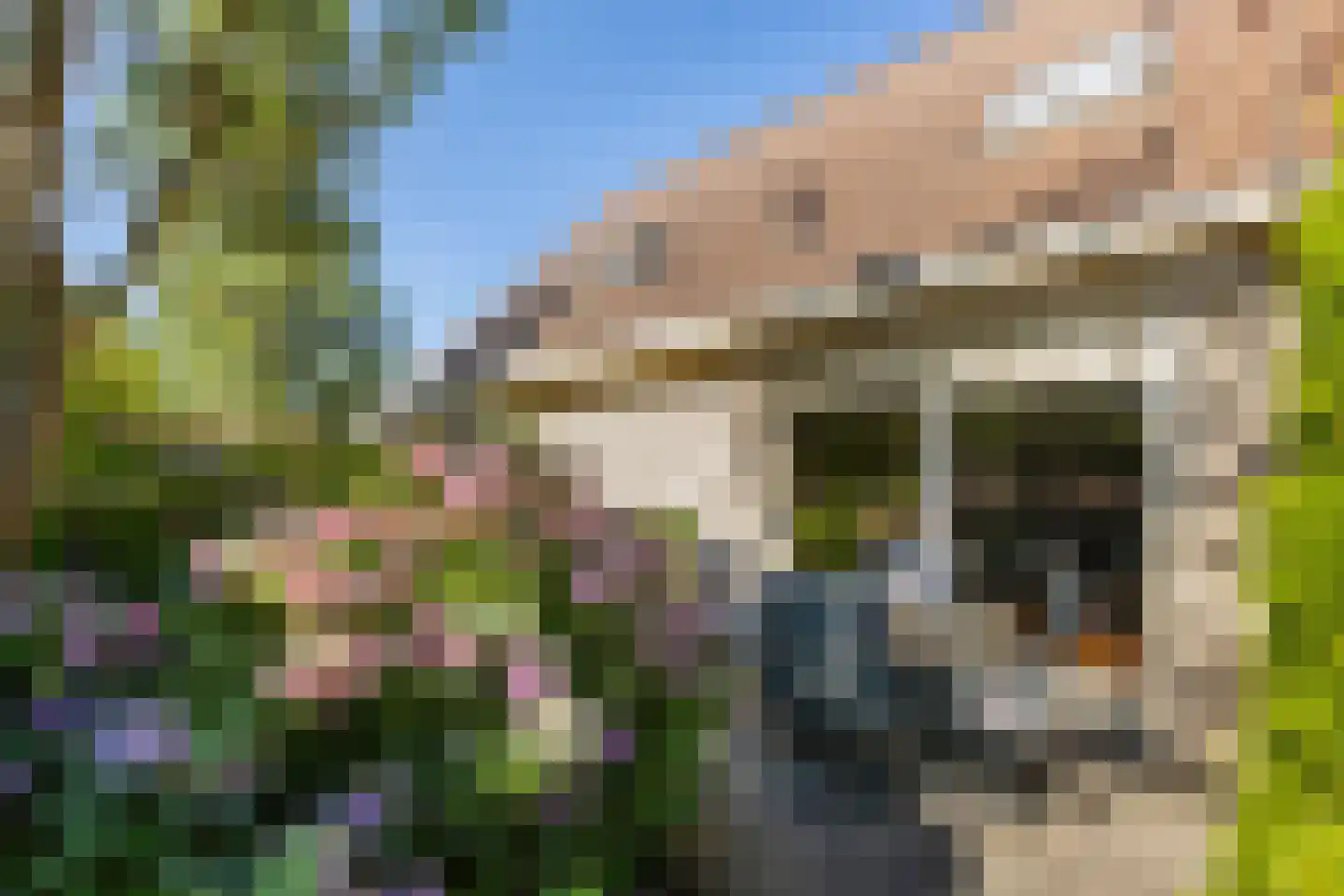 Torenlaan 35 Ermelo thumbnail 43