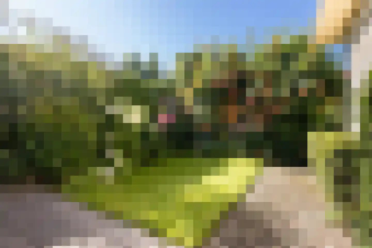 Torenlaan 35 Ermelo thumbnail 45
