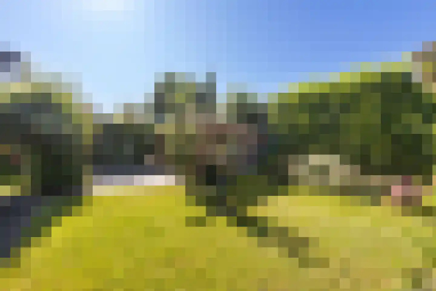 Torenlaan 35 Ermelo thumbnail 48