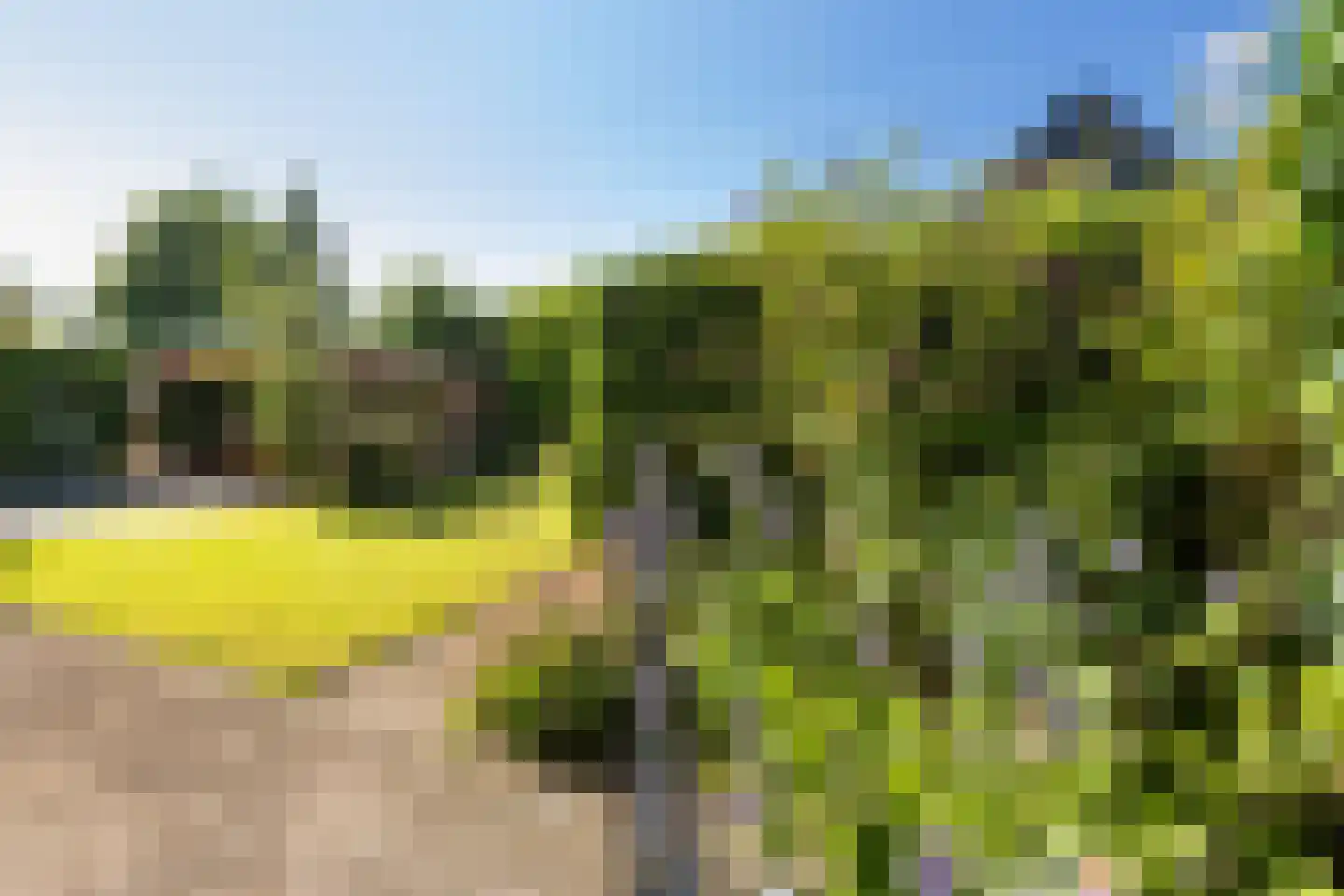 Torenlaan 35 Ermelo thumbnail 49