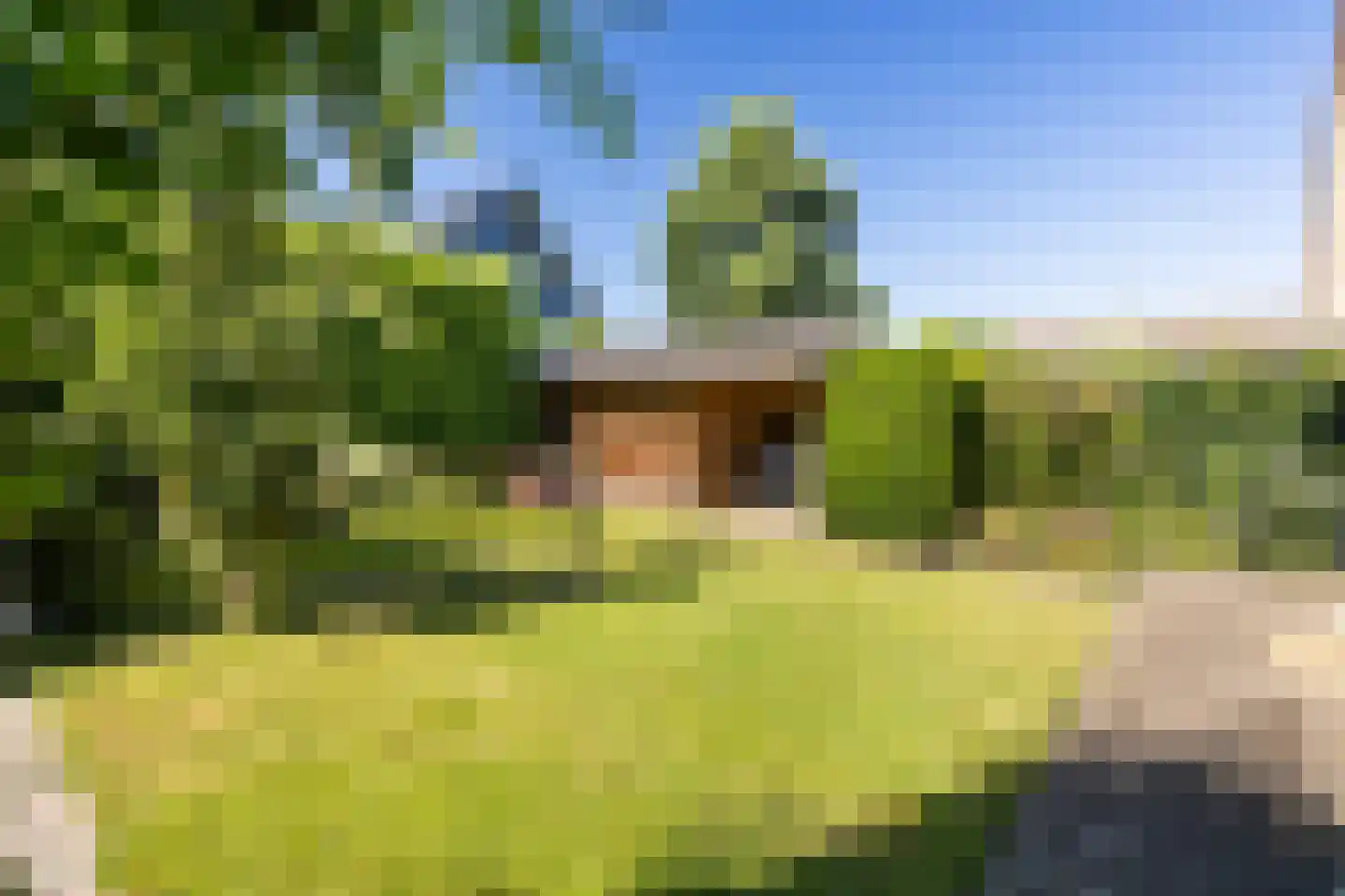 Torenlaan 35 Ermelo thumbnail 50