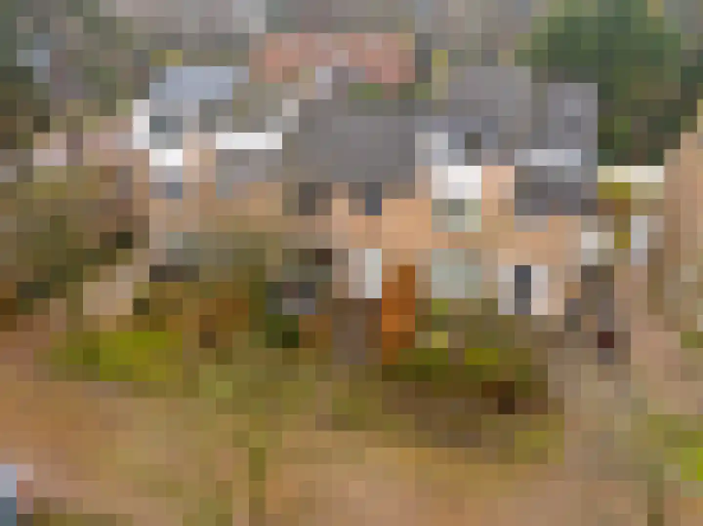 Torenlaan 35 Heiloo thumbnail 48