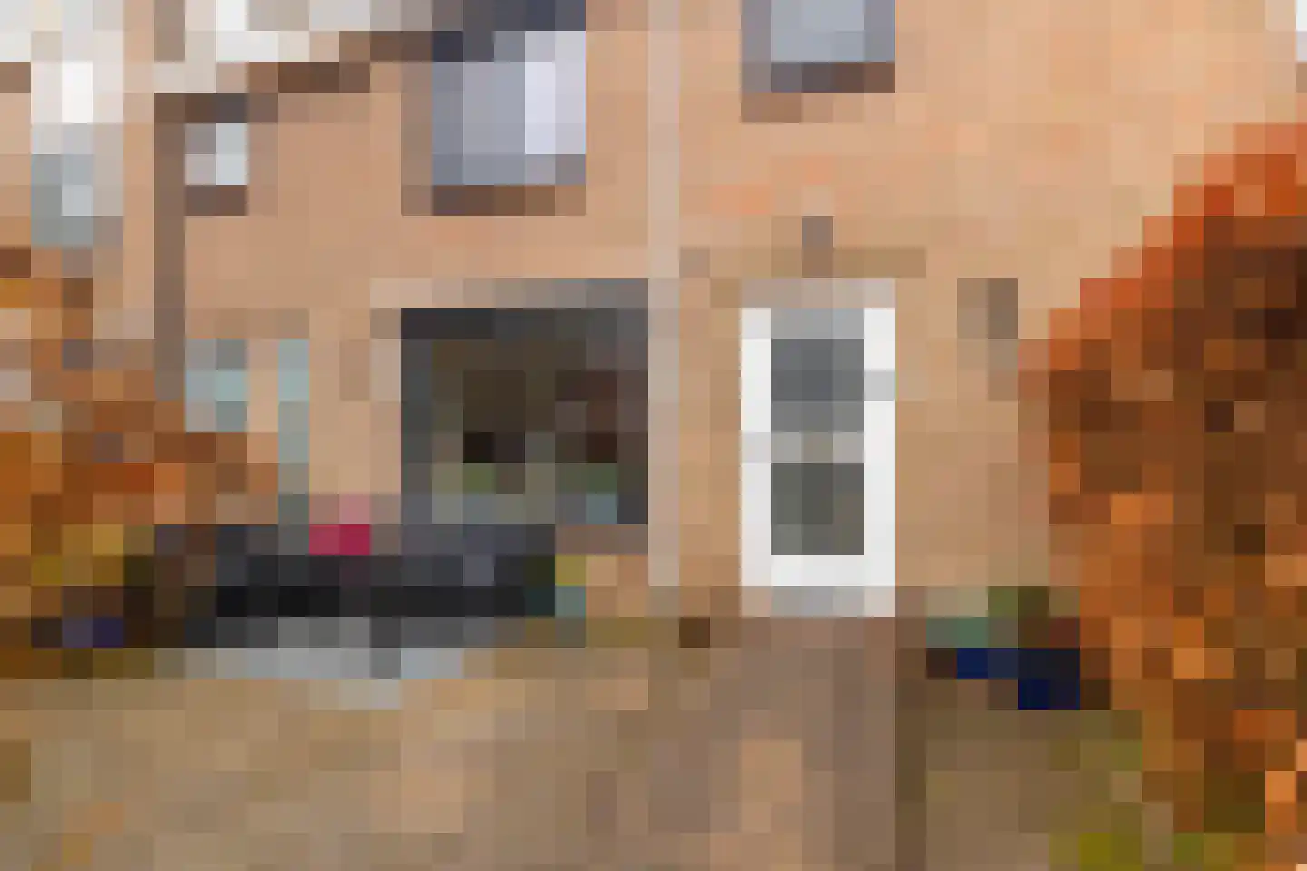 Torenlaan 35 Heiloo thumbnail 6