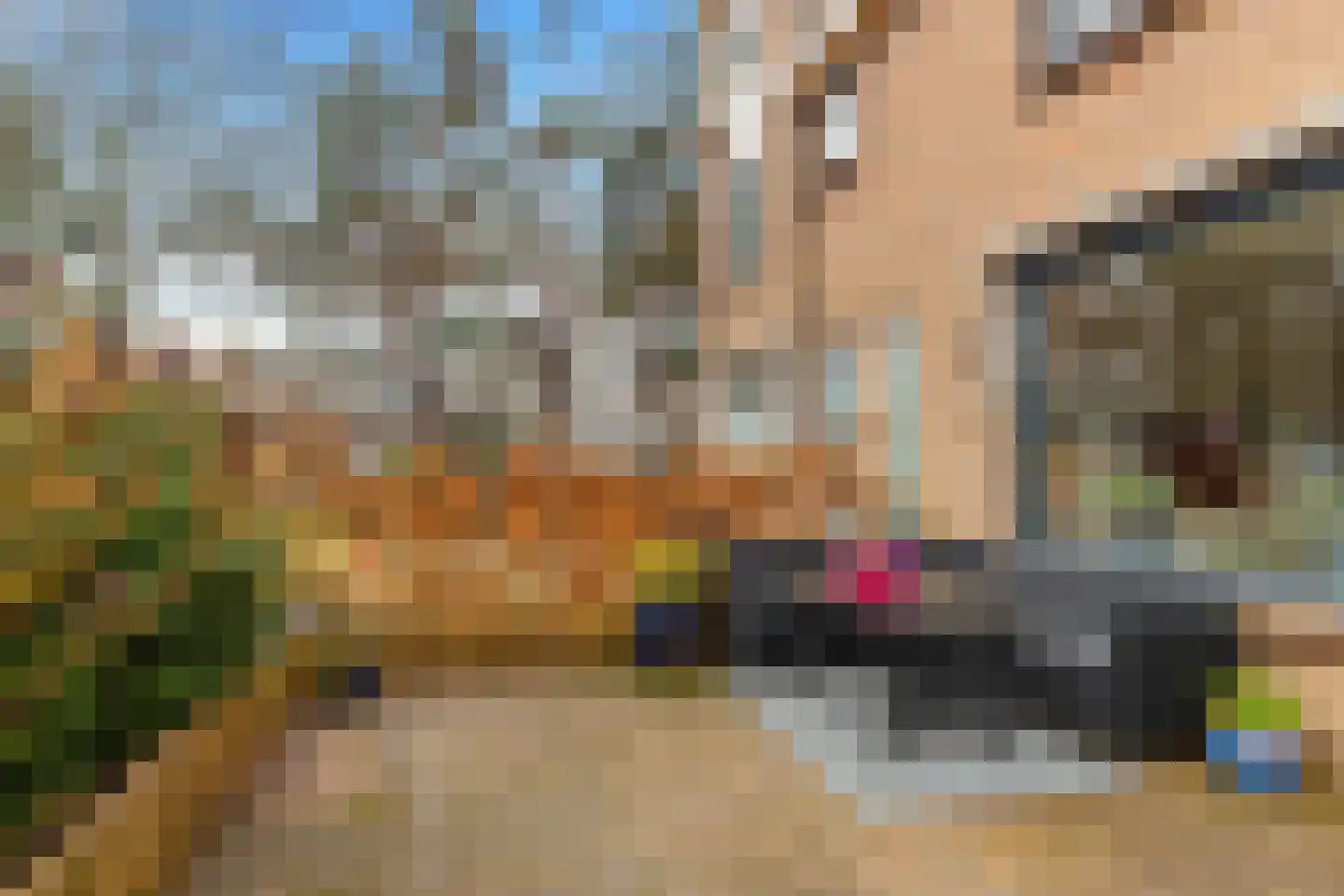 Torenlaan 35 Heiloo thumbnail 7