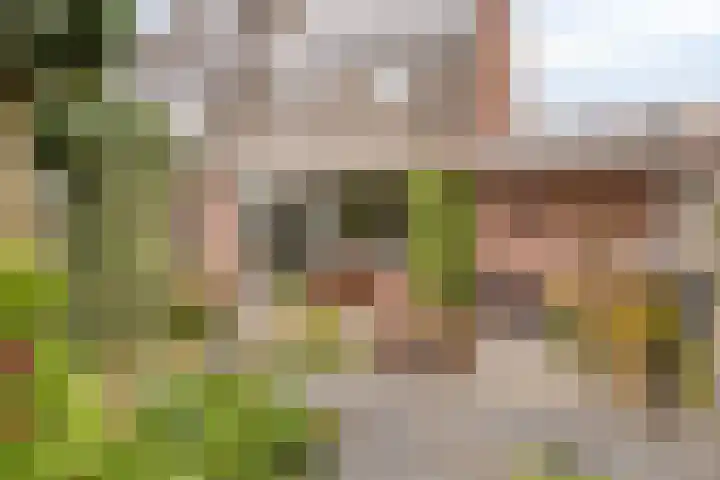 Torenlaan 35 Zuid-Beijerland thumbnail 28
