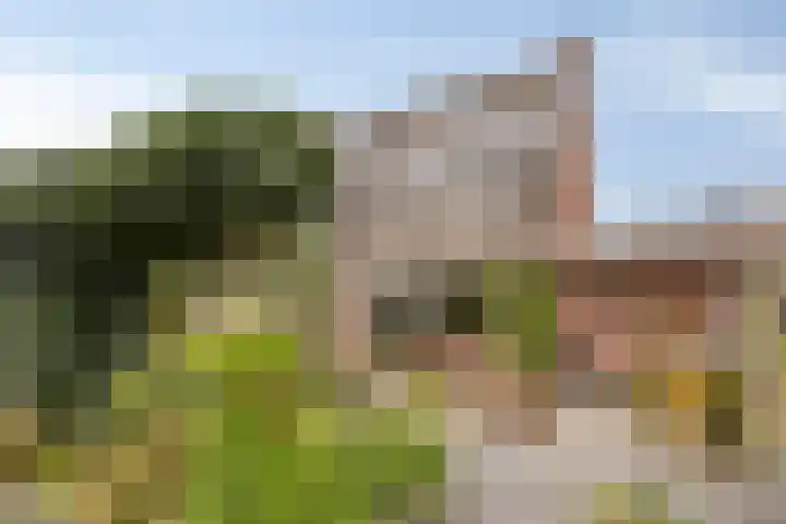 Torenlaan 35 Zuid-Beijerland thumbnail 29